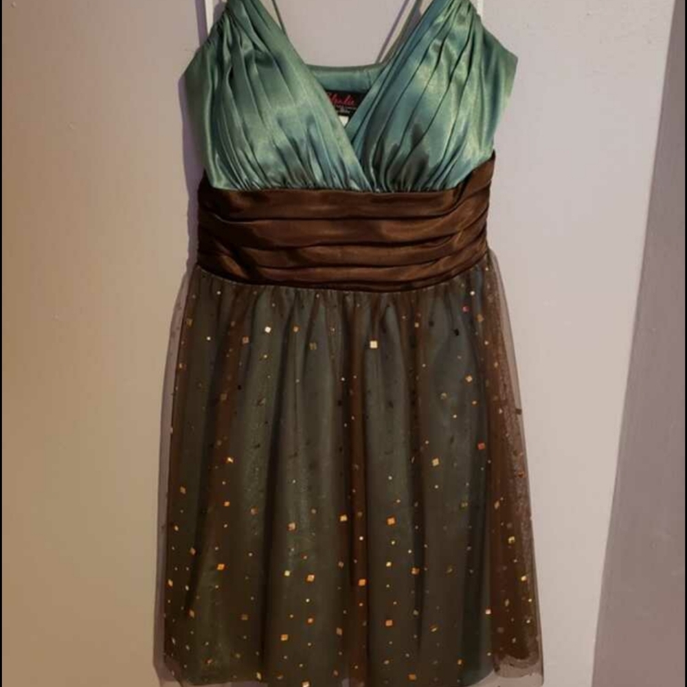 Blondie nites by Stacy Sklar, Size 11, Teal and Brown dress